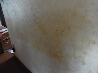 廊下壁の汚れ取りビフォー＆アフター　ビフォー画像