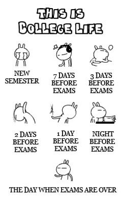 first year in college