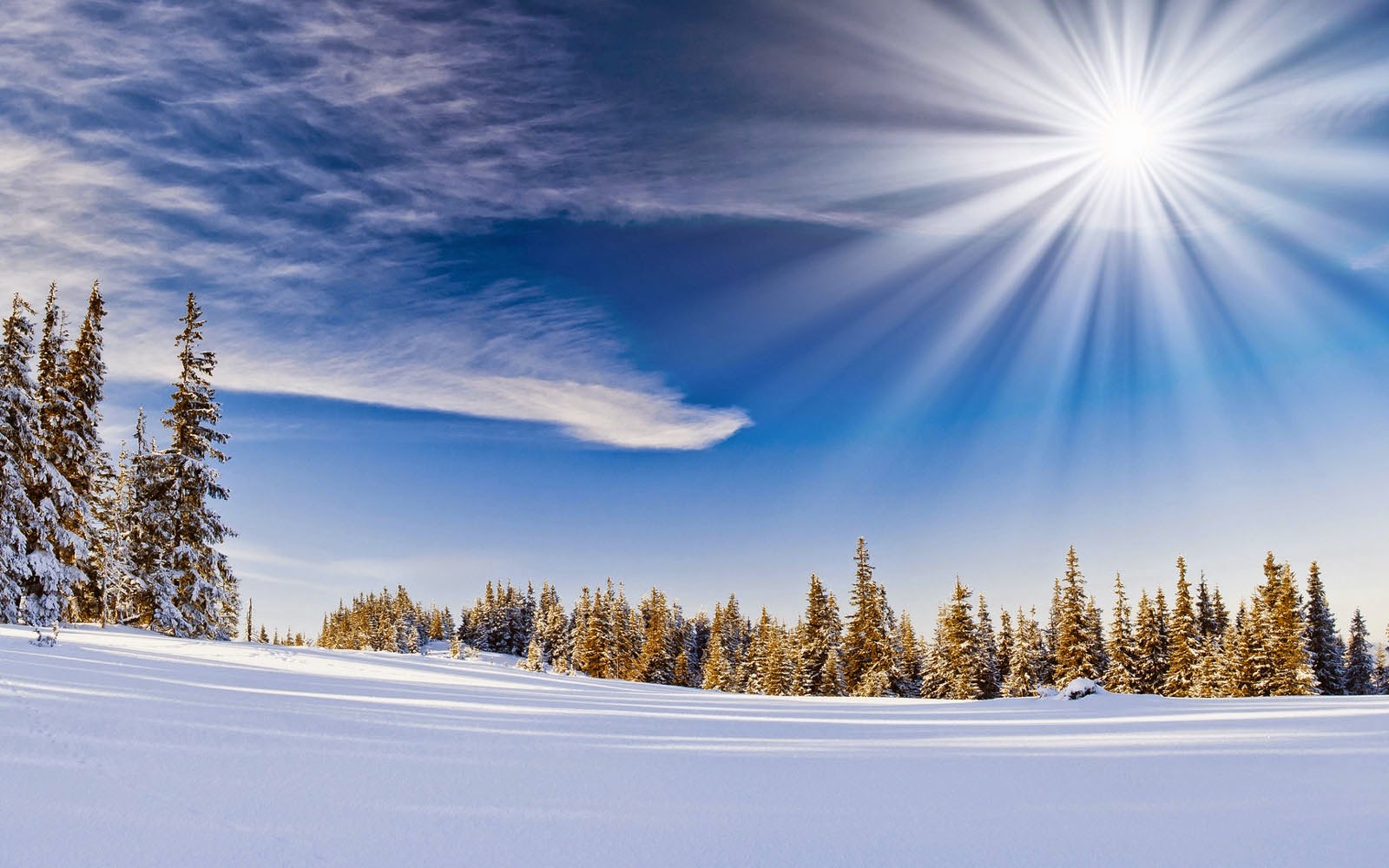 wallpapers: Winter Wallpapers