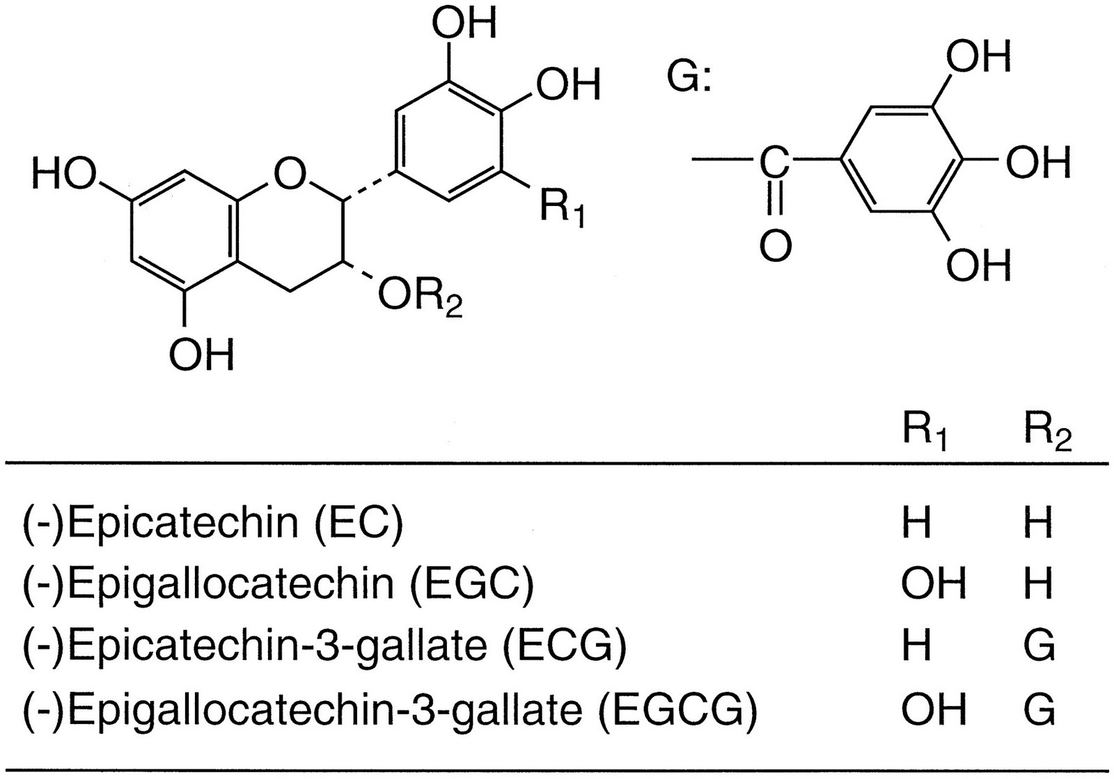 20 Reduction in Serum Testosterone by 5 Cups of Green Tea. Endocrine