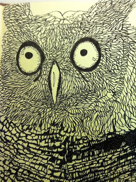 owl by shoshanah marohn 2016 owl by shoshanah marohn 2016
