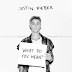  Justin Bieber - What Do You Mean? [2015][320Kbps] Single