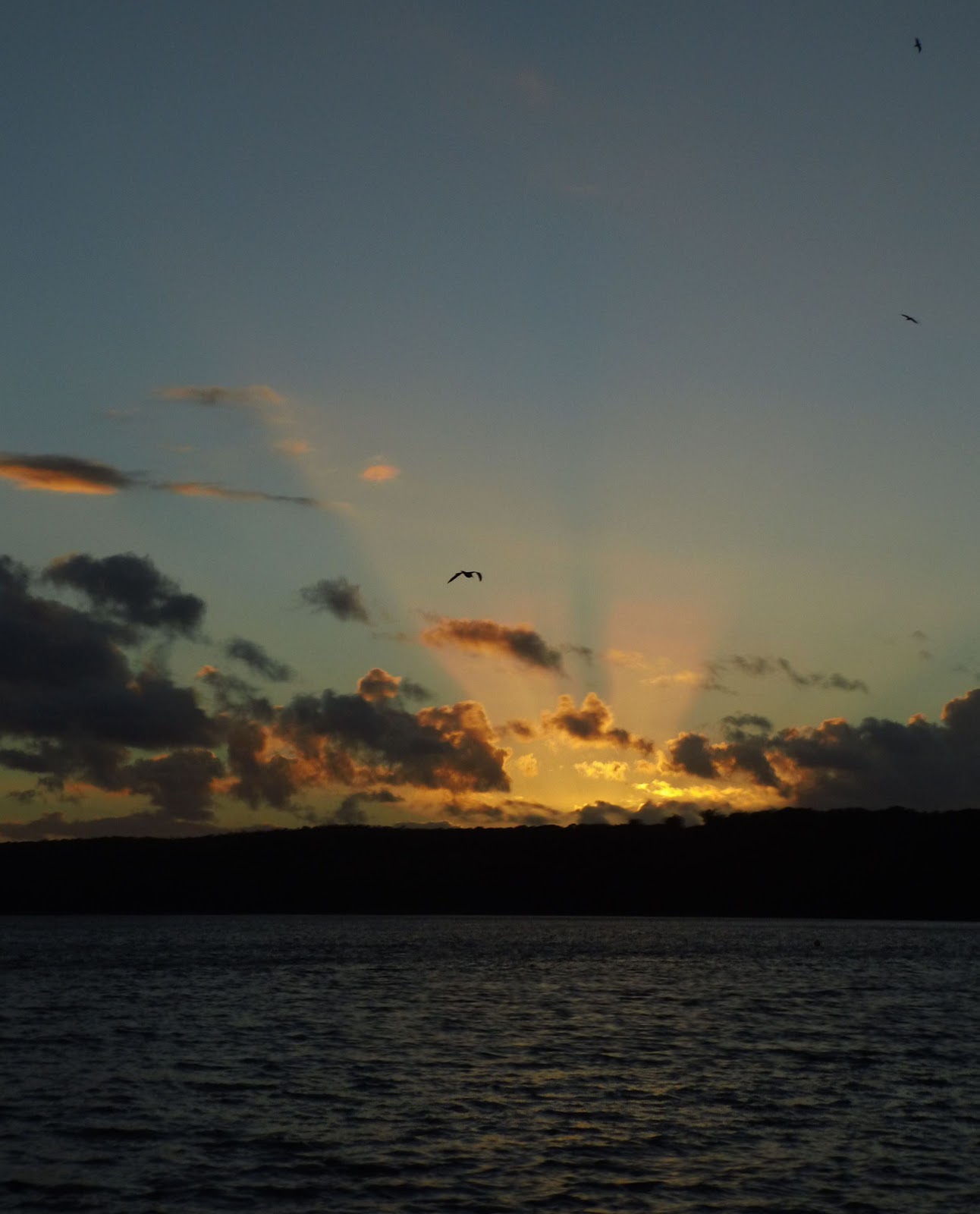 Martin In Broda Abends