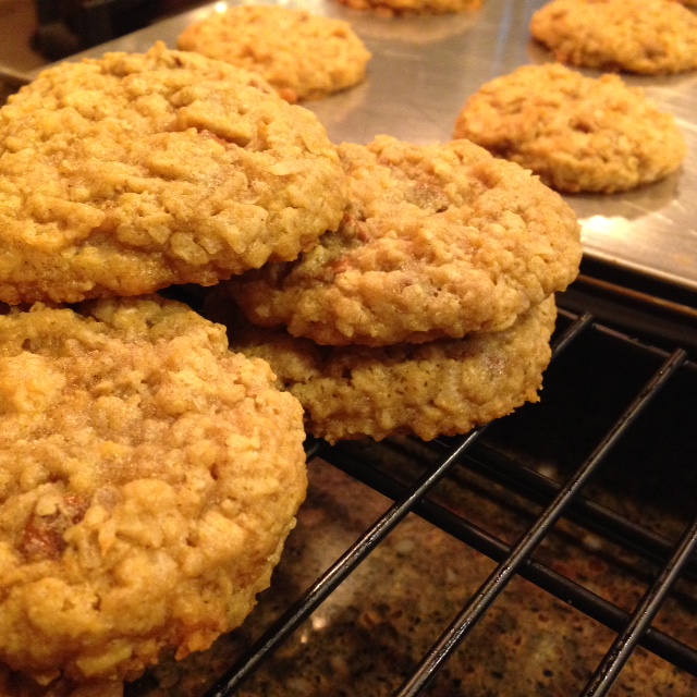 Grammy's Apron (Recipes & Reflections) Chewy OatmealCoconut Cookies