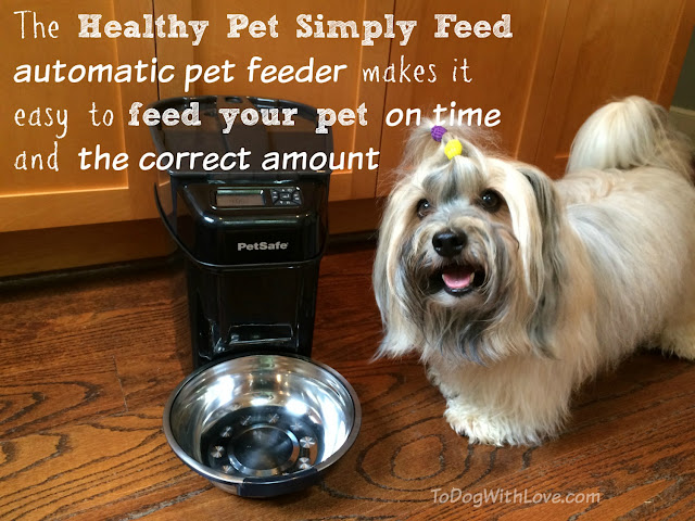 Healthy Pet Simply Feed automatic, portion-controlled pet feeder from PetSafe
