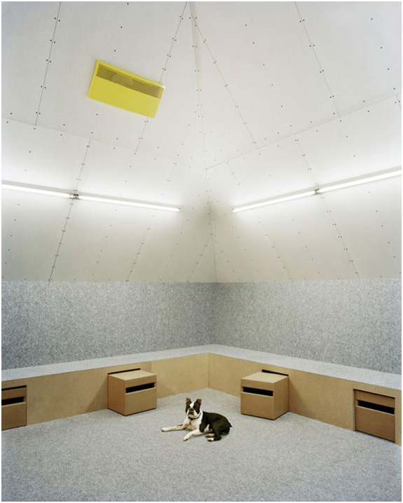 creative office designs