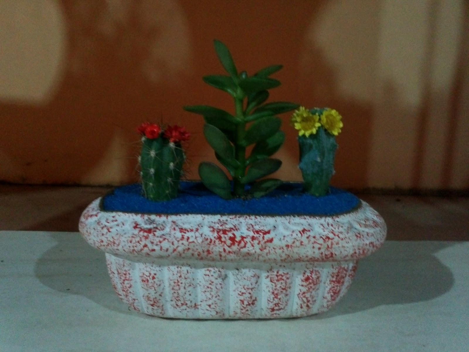 mini jardins em vaso:Inovando com Cactos e Suculentas.: Mini Jardim em vaso de cerâmica. mini jardins em vaso:Inovando com Cactos e Suculentas.: Mini Jardim em vaso de cerâmica.
