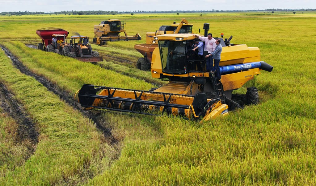 Projeto de irrigação Salangô em São Mateus do Maranhão Projeto de irrigação Salangô em São Mateus do Maranhão