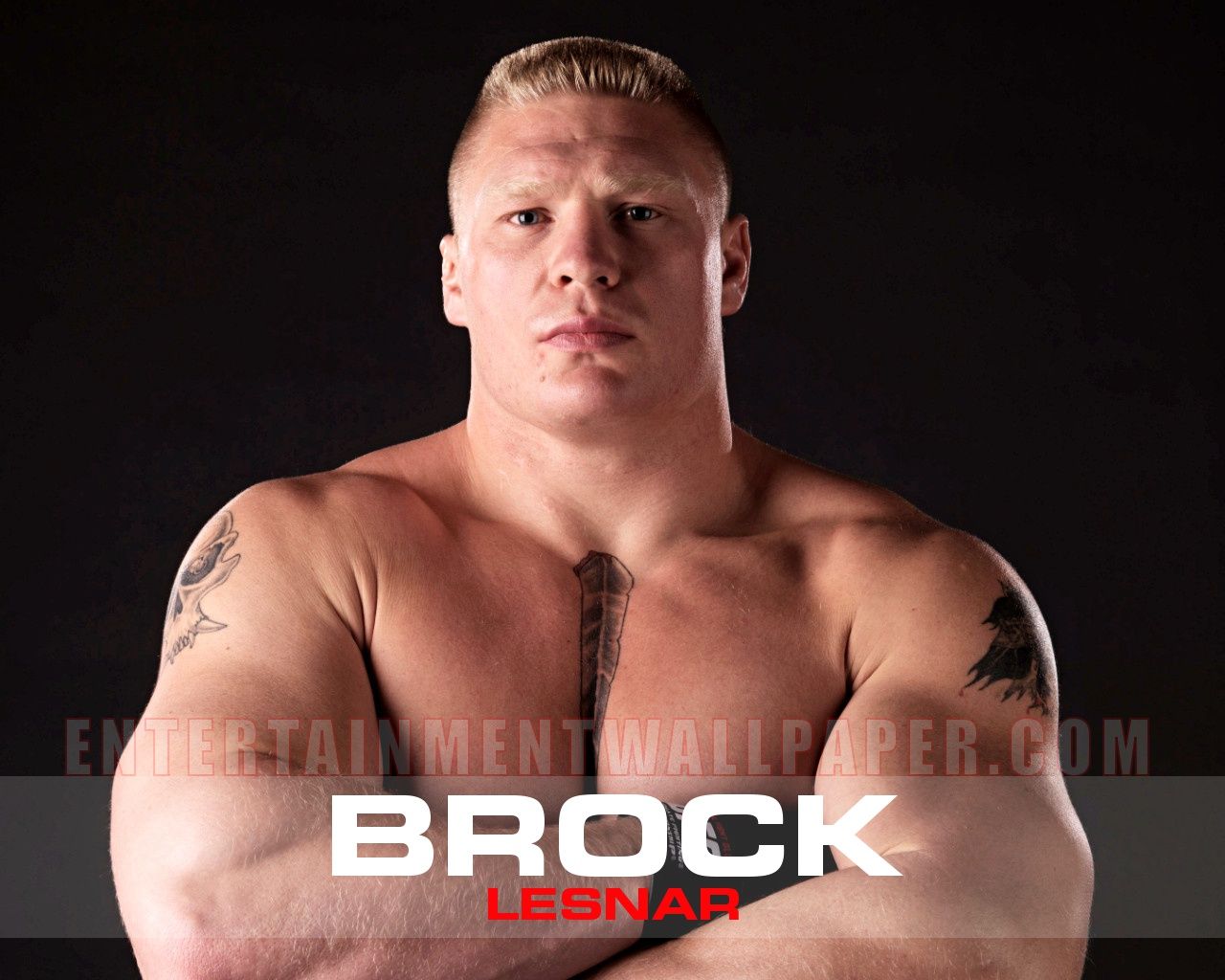 Brock Lesnar Wa...