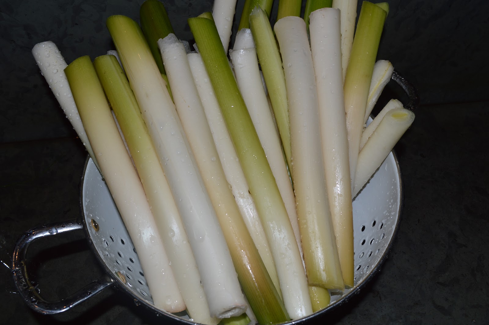 cattails the ultimate survival
