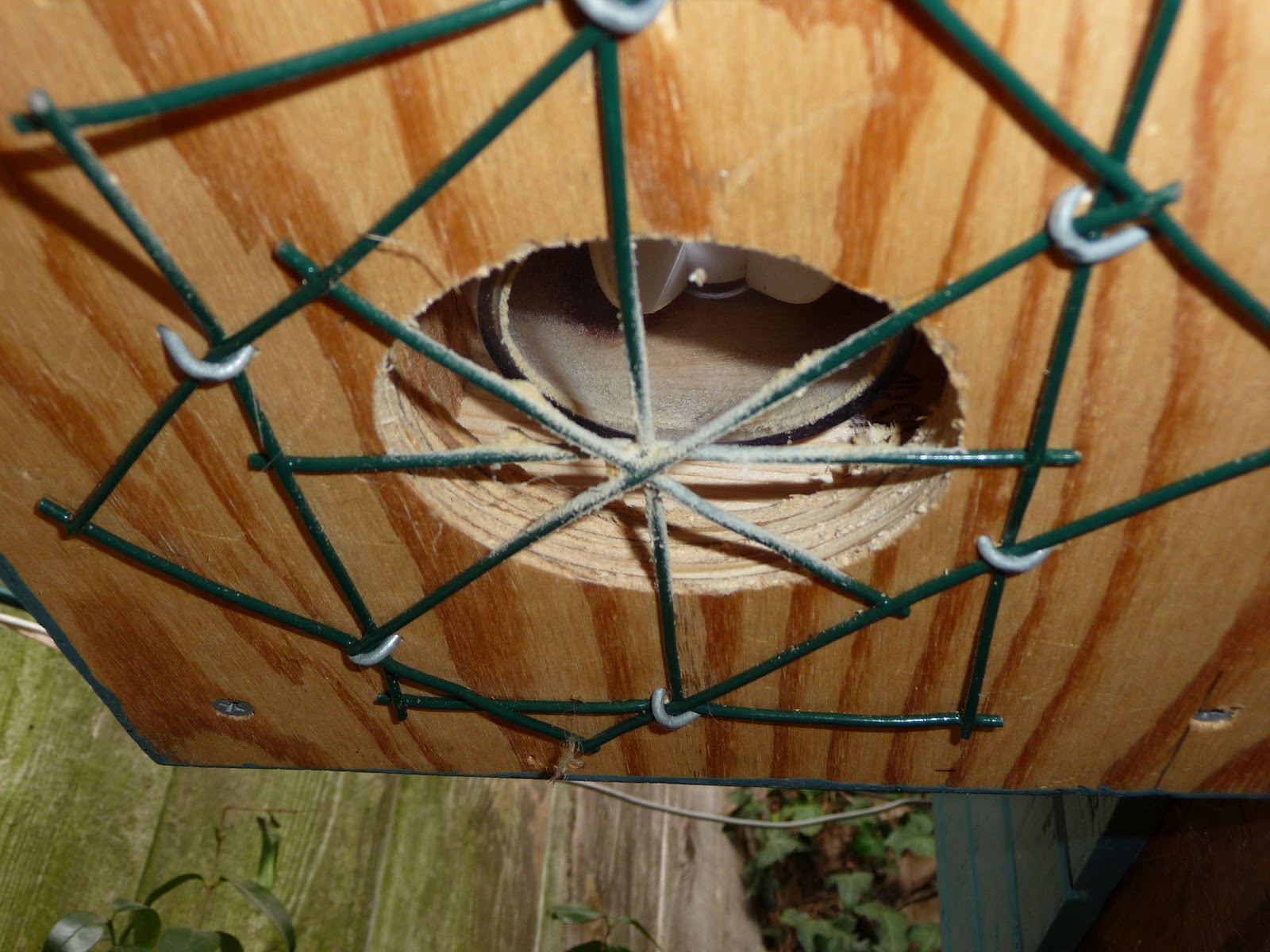 Arduino Chicken Coop Chicken Feeder