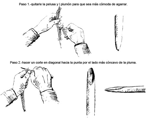 plumilla plumilla