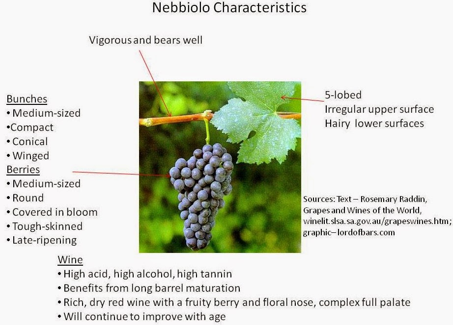 nebbiolo grape