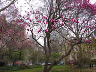 New York _City Hall Park