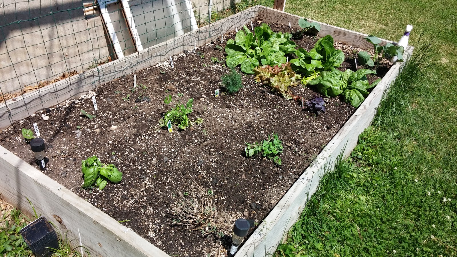 Square Foot Gardening in the City