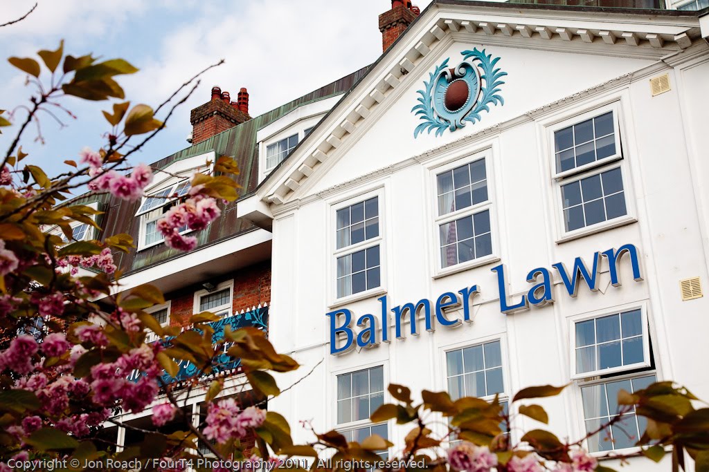 balmer lawn