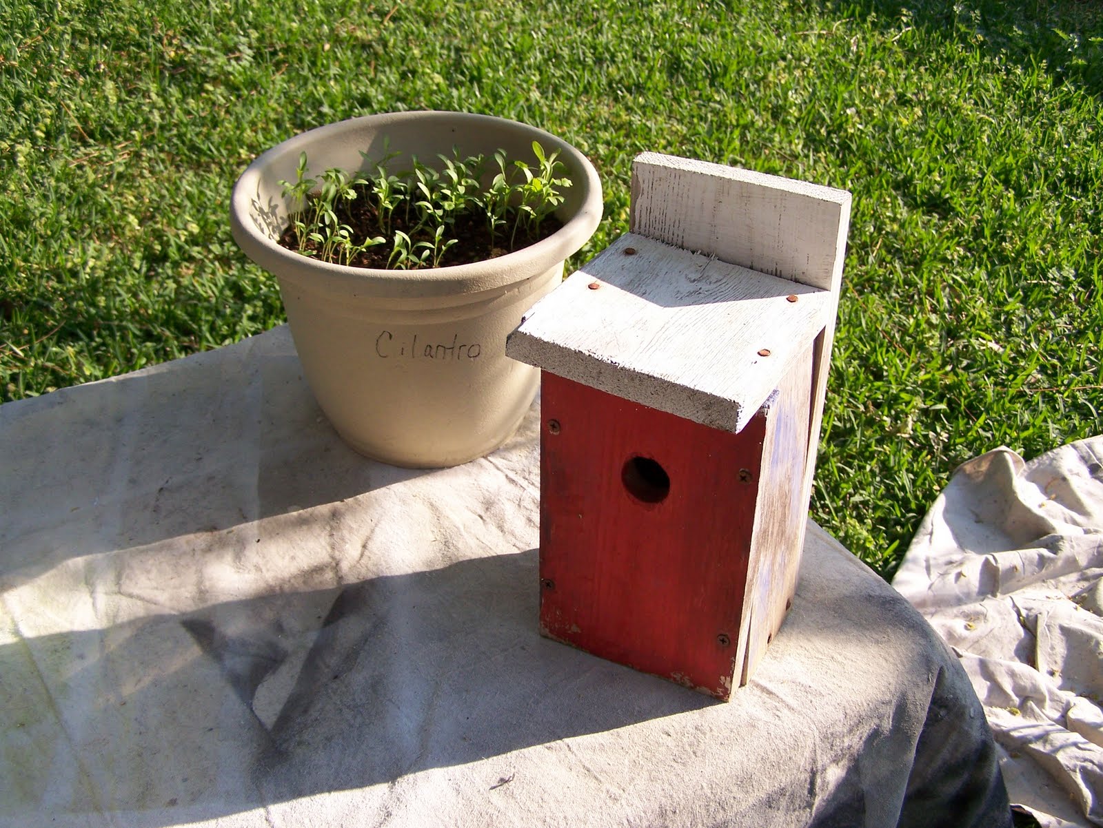 Spray Painting {Junk} Simple.Beautiful.Life.