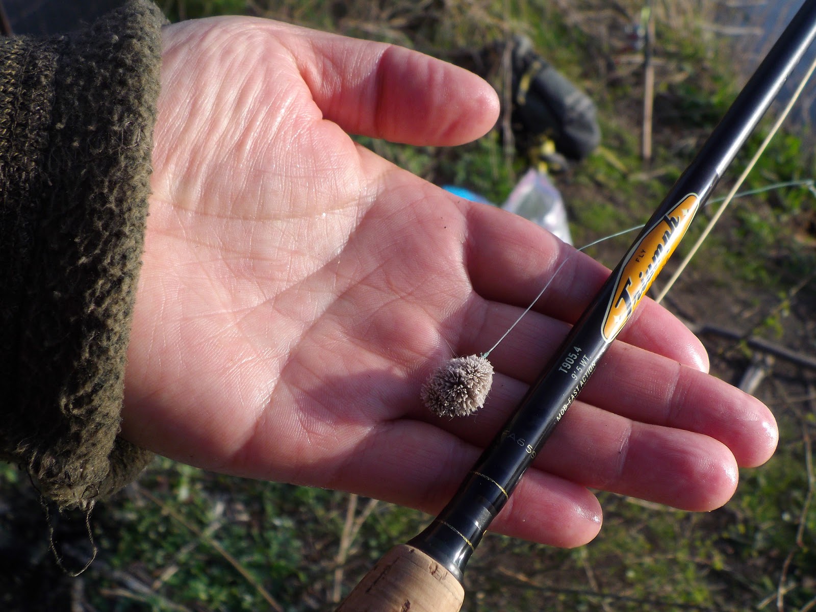 The Great Lakes of NYC Carp on a dry fly at Kissena Park Lake