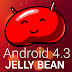 New features Android 4.3 Jelly Bean Secret: Permissions Manager thumbnail