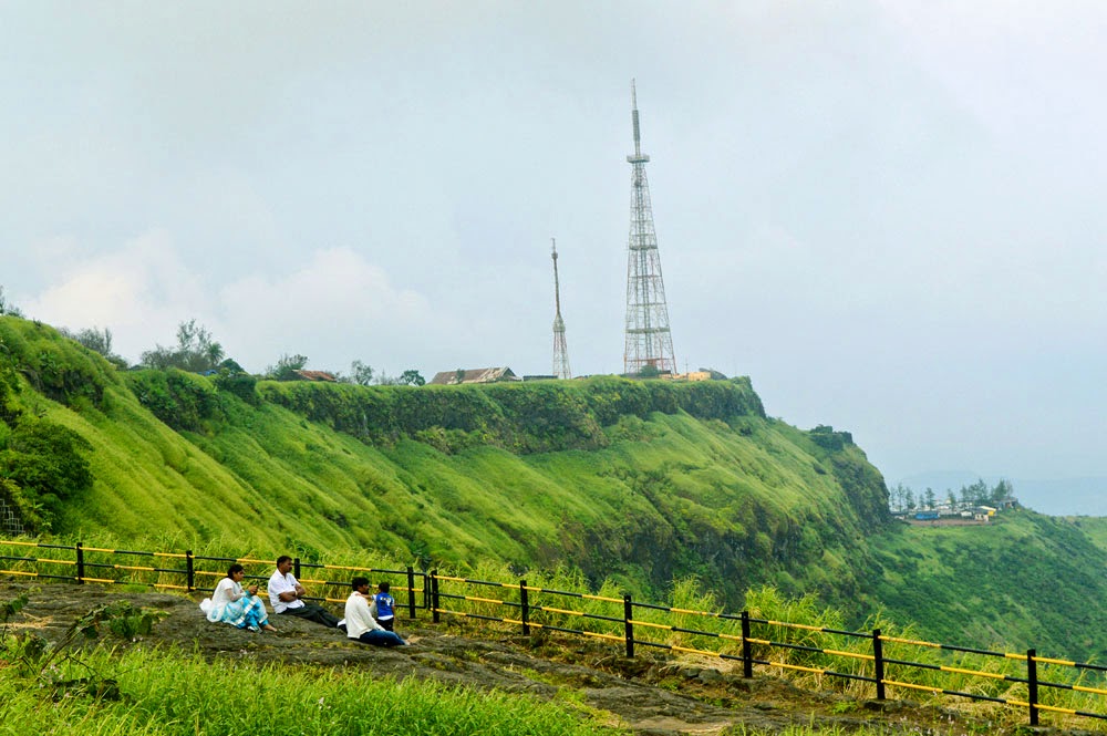 beautiful green nature Photos beautiful photos