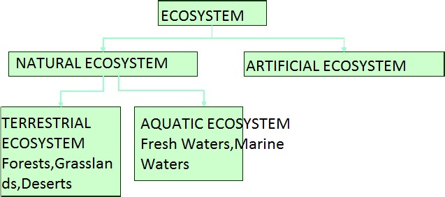 Flow Chart Of Classification Of Ecosystem