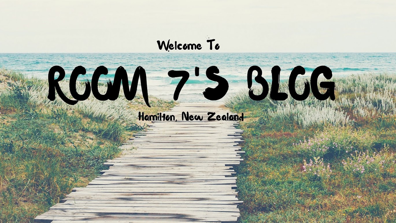 WELCOME TO ROOM 7'S CLASSROOM BLOG