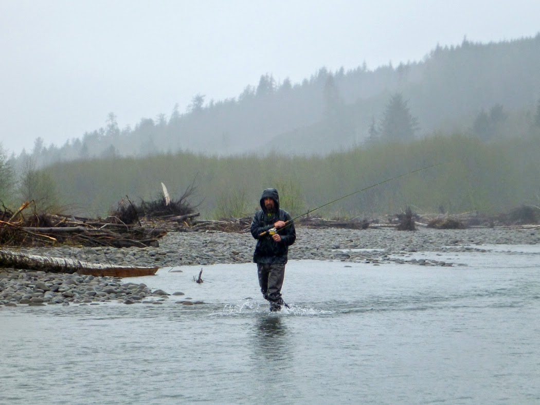 Jim Kerr fishes a run on the Lower Hoh river. Jim Kerr fishes a run on the Lower Hoh river.