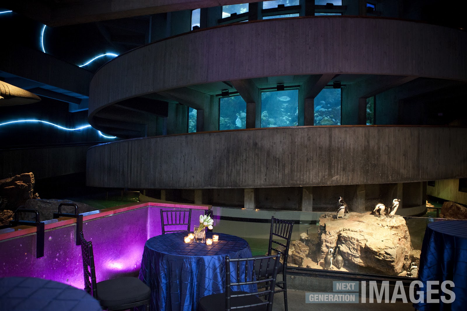 Boston Aquarium Hours