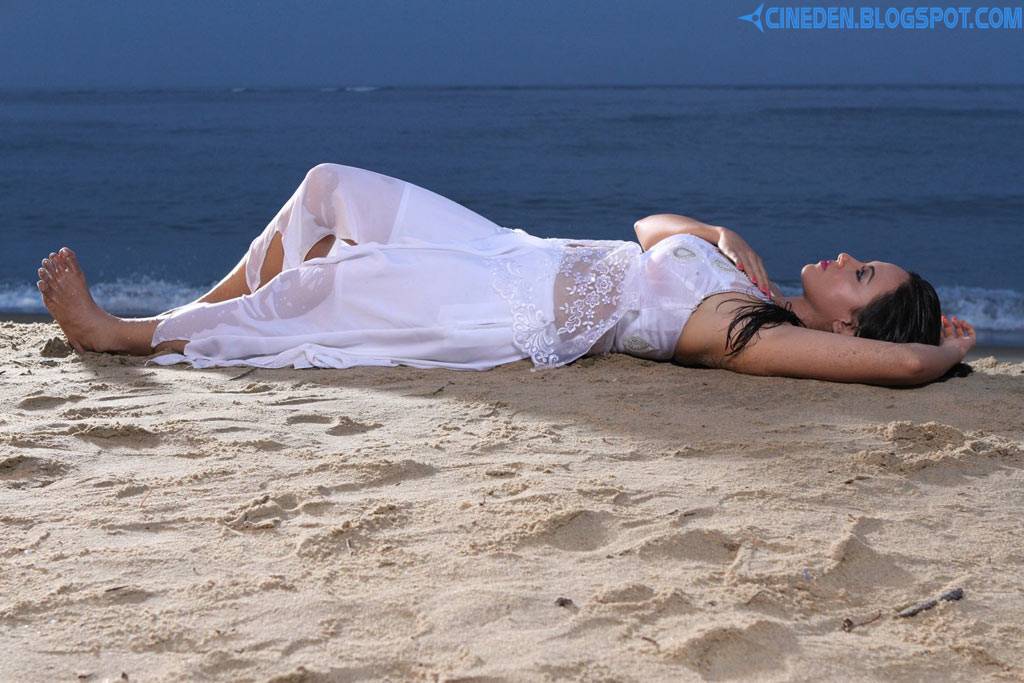 Nadigayin Diary Tamil Movie Hot Stills Nadigayin Diary Tamil Movie Hot Stills