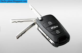 Kia rio car 2013 key - صور مفاتيح سيارة كيا ريو 2013 Kia rio car 2013 key - صور مفاتيح سيارة كيا ريو 2013