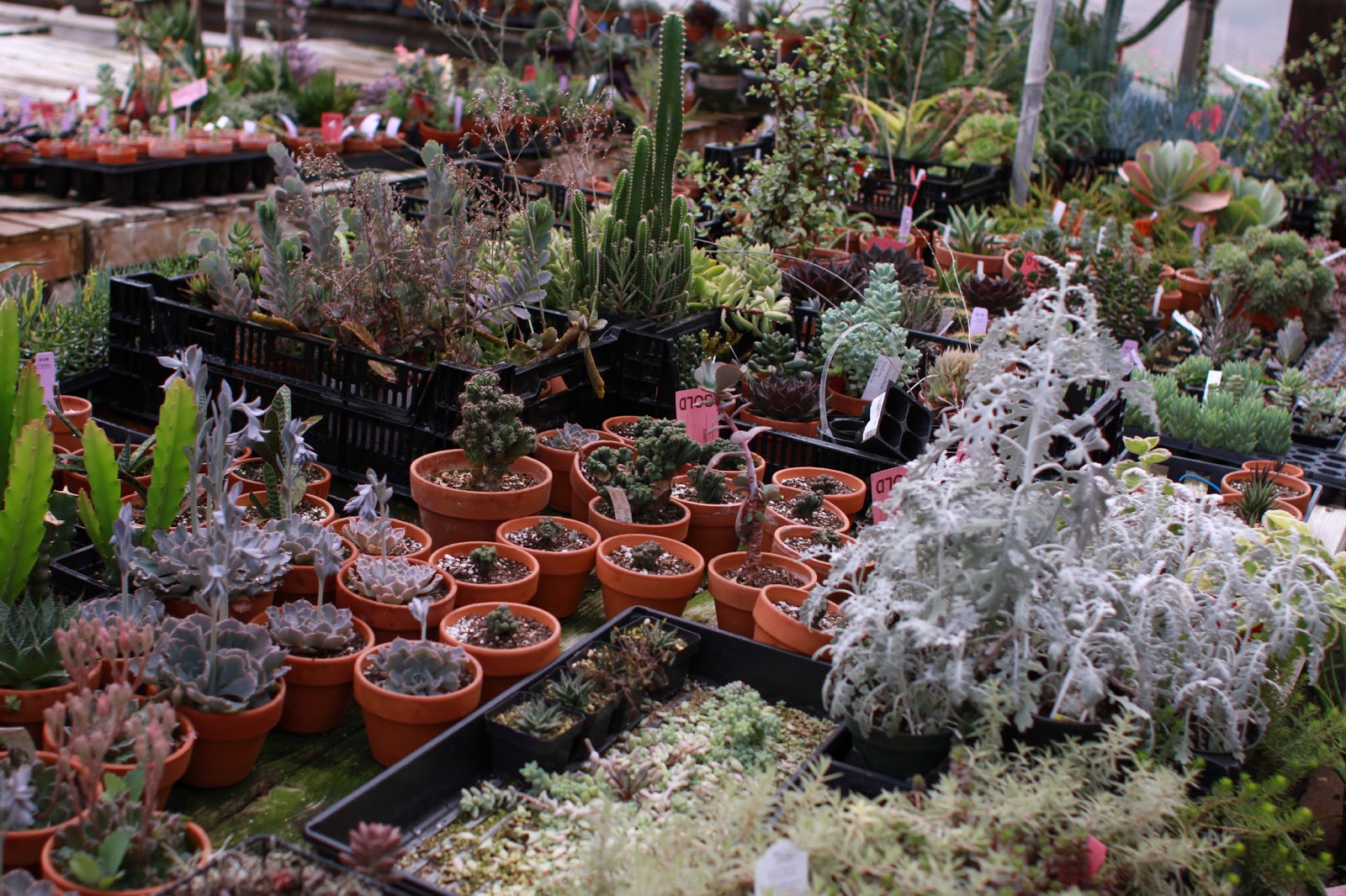 Wickmans Greenhouse