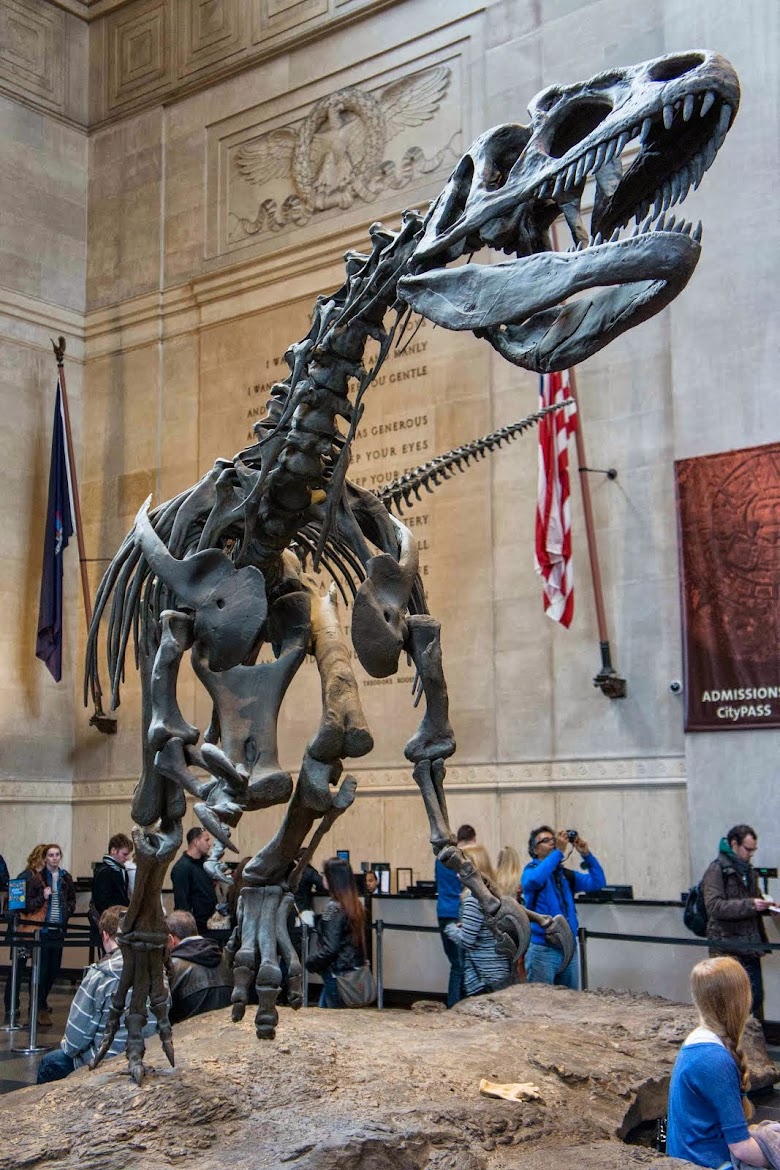 Memorable USA 2013 The American Musuem of Natural History