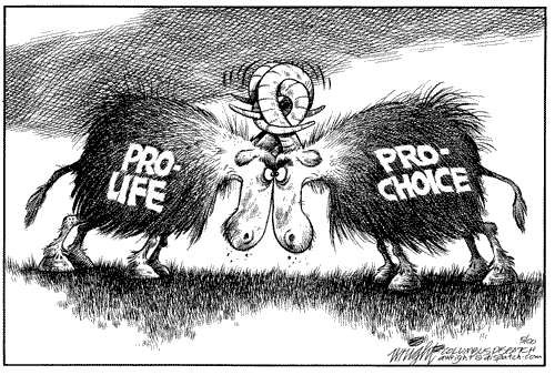 abortion a debate for the unborn child or a womans right Republicans took a big political risk on abortion in political risk on abortion in the fox debate of a pregnant woman's life relative to her unborn baby. abortion a debate for the unborn child or a womans right Republicans took a big political risk on abortion in political risk on abortion in the fox debate of a pregnant woman's life relative to her unborn baby.