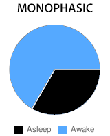 Alternative Sleep Cycles ; 7-10 Hours Are Not Needed - The Monophasic Cycle Alternative Sleep Cycles ; 7-10 Hours Are Not Needed - The Monophasic Cycle