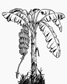 உயிரே மூலதனம் | நீதி கதைகள் Banana+Tree