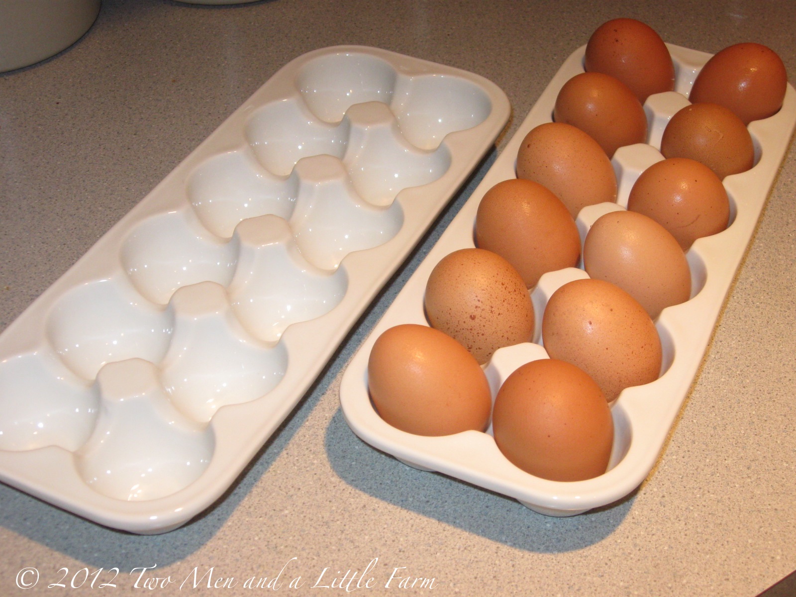 Two Men and a Little Farm CERAMIC EGG TRAY CARTON, OUR NEW FAVORITE THING