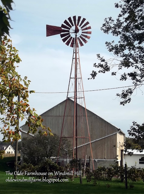 Windmill+9-12.jpg