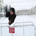 Le Parkur na neve - Ronnie Shalvis em Winter free Running