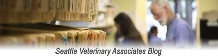 Seattle Veterinary Associates