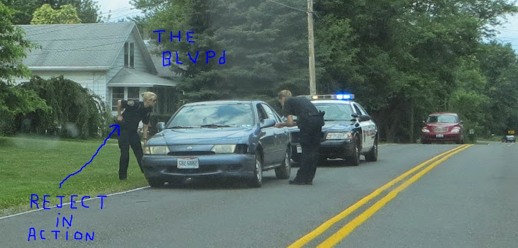 Would the Brady Lake Village reject cops shoot somebody over a minor traffic violation ?