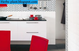 صور سيراميك مطابخ صور سيراميك مطابخ