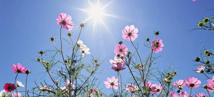 Καλό καιρό σε ολόκληρη τη χώρα για Πέμπτη 23-4-2015 aithrios-kairos-thn-pempth.jpg