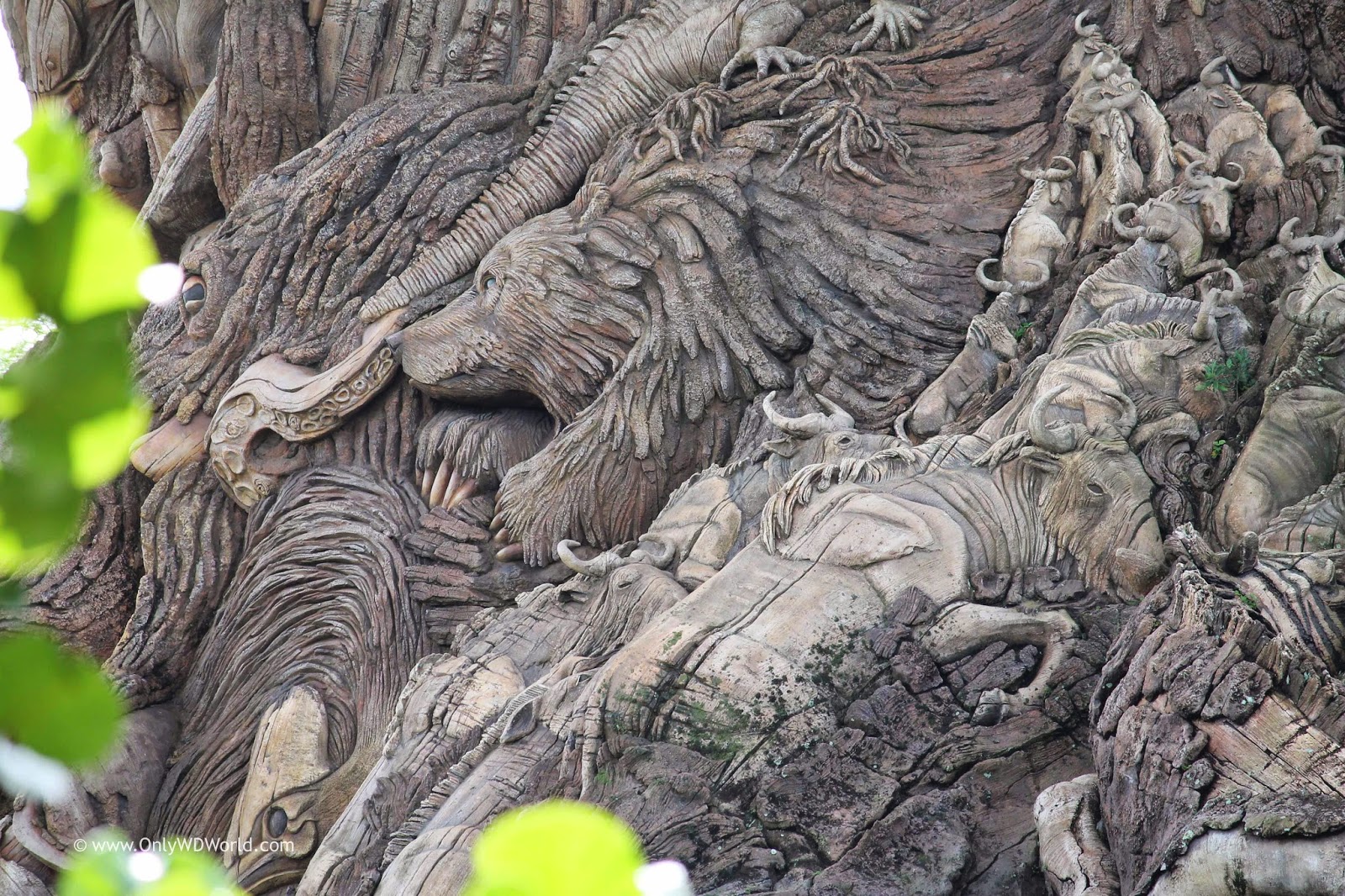 Tree animal disney kingdom concrete closer bear owl wildebeest imagineers incredible create A Closer Look At The Tree Of Life at Disney's Animal Kingdom | Disney