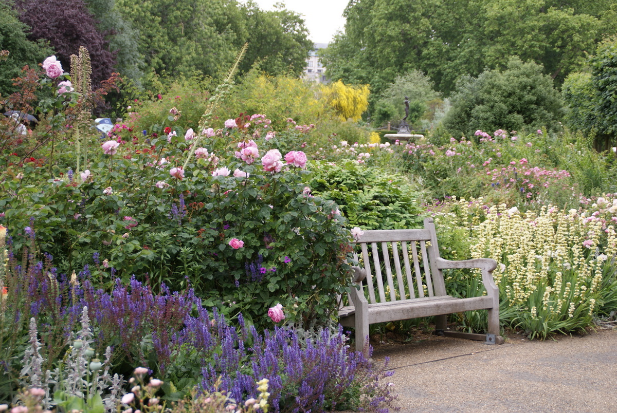 Organic Garden Dreams The Rose Garden in Hyde Park, Part I
