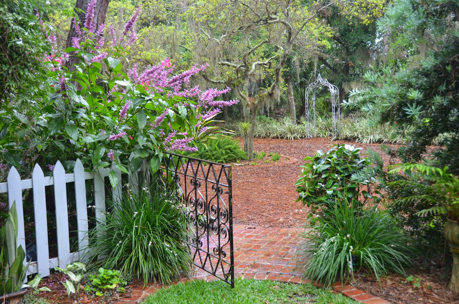 UF IFAS Extension Polk Gardening Spring Into Florida Friendly UF IFAS Extension Polk Gardening Spring Into Florida Friendly