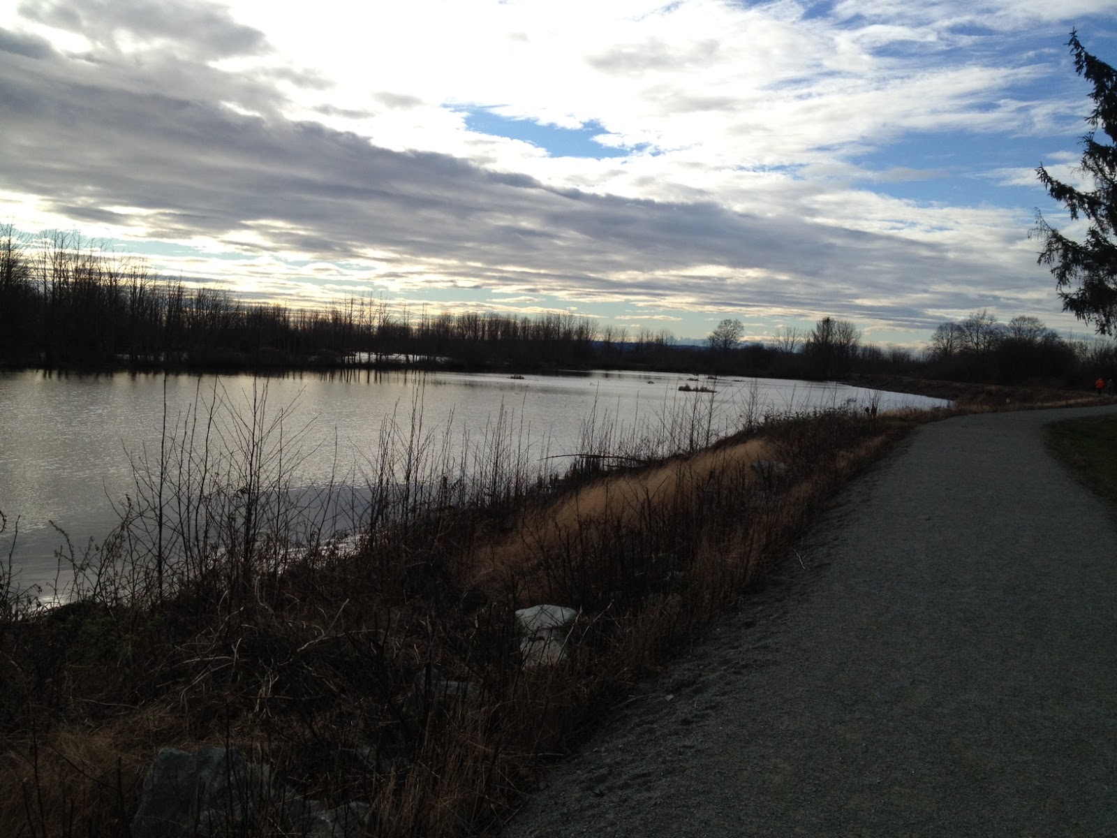 Before The Deluge Wiley Slough