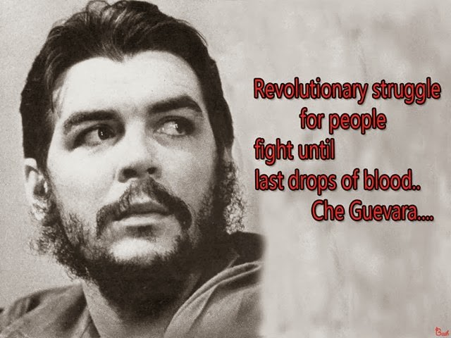 The Revolution Che Guevara Quotes. QuotesGram