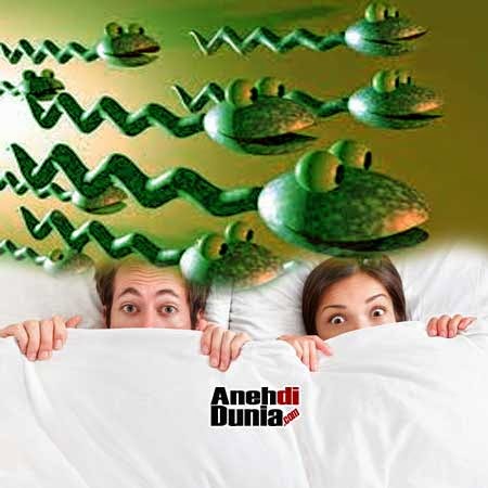 Sperma u anusu sperma u anusu