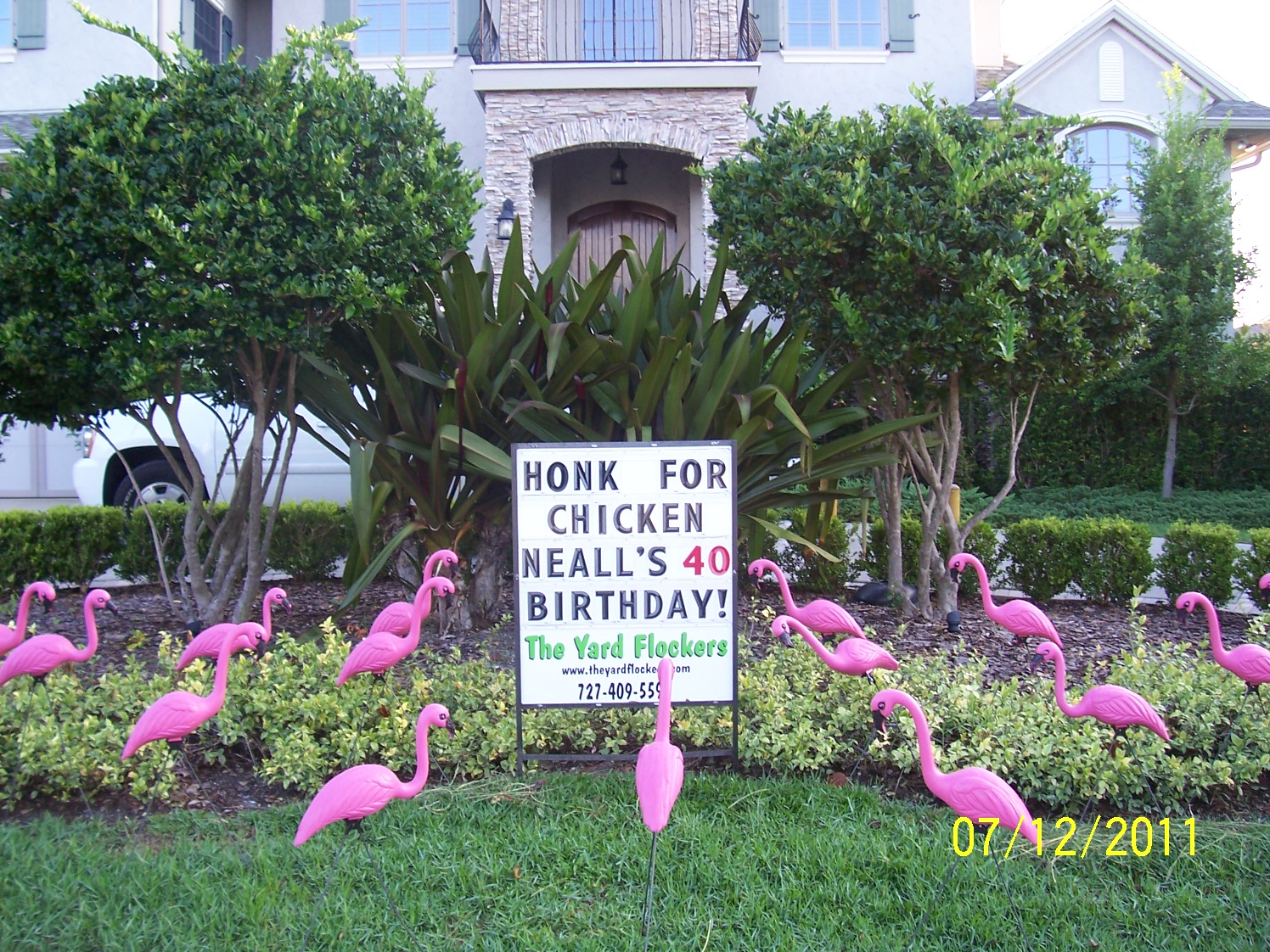 *THE YARD FLOCKERS* Pinellas County, Fla 727-409-5590 WWW