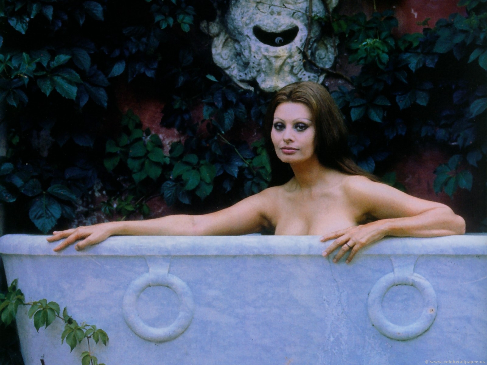 http://4.bp.blogspot.com/-1r_J5t4bdCE/TzPvNIT6loI/AAAAAAAAA5Q/Ytk3VkFQU7I/s1600/sophia_loren_LIFE.jpg